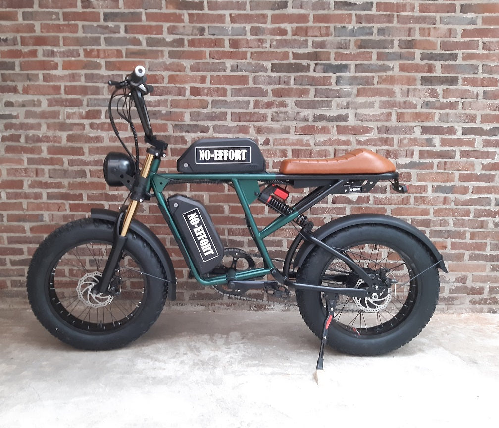 Extra Accu (geschikt voor de Cruiser Fatbike)